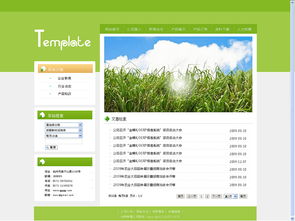 钰婕婕婕 婕玛网络在ZCOOL上的企业官网展示与设计美学