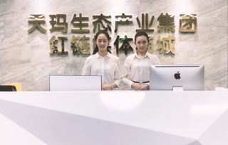 致力下一个电商红海 天玛集团引领互联网新时代发展